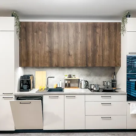 Appartement Modern Ac | Free Parking | 15 Min Center *
